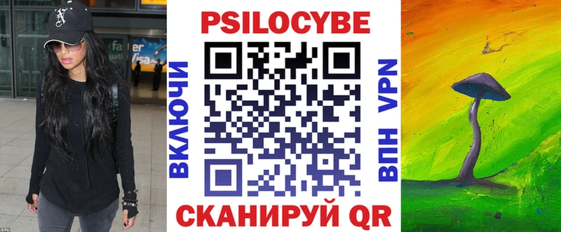 цены   Агрыз  Псилоцибиновые грибы Psilocybine cubensis 